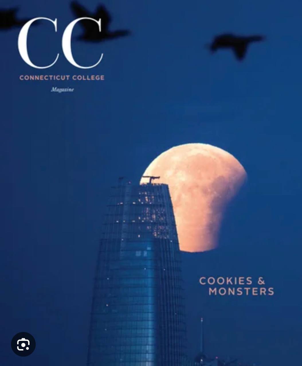 Cookies & Monsters - CC Magazine